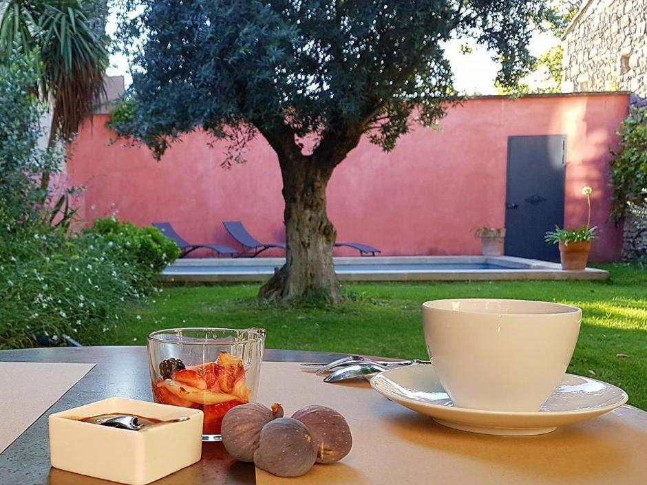 La Maison Des Marronniers Bed & Breakfast Uzès Dış mekan fotoğraf